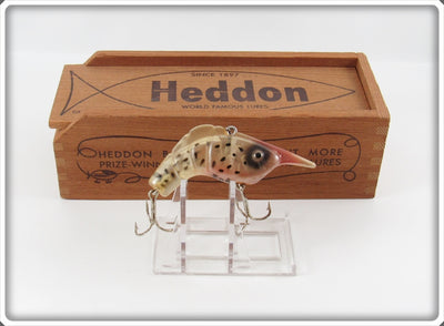 Heddon Amber Pearl Craw Shrimp 375 AMP In Wood Box