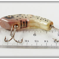 Heddon Amber Pearl Craw Shrimp 375 AMP In Wood Box