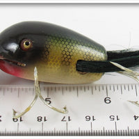 Creek Chub Perch Dingbat 5101 In Box