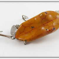 F.P. Holmgren Orange & Red Frog