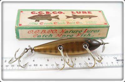 Creek Chub Pikie Scale Husky Injured Minnow Lure 3500 In Box 