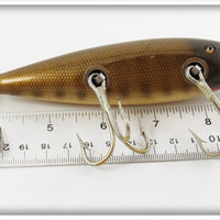 Creek Chub Pikie Scale Husky Injured Minnow 3500 In Box