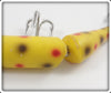 CCBC Yellow Spotted Triple Jointed Pikie