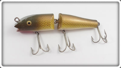 Creek Chub Golden Shiner Jointed Darter