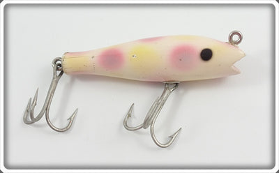 Creek Chub Pearl Midget Darter