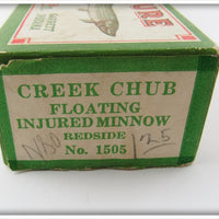 Creek Chub Redside Round Body Injured Minnow In Box
