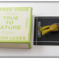 Vintage Creek Chub Golden Shiner Fly Rod Dingbat Lure In Box 1404