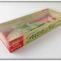 Fetchi Green Frog In Box