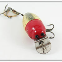 Creek Chub Western Auto Red Head Shiner 6000 Midget Beetle
