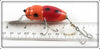 Creek Chub Orange Deep Diving Midget Beetle 6053 DD