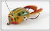 Creek Chub Fisherman Altered Or Prototype Weed Bug With Sunspot Dingbat Hair