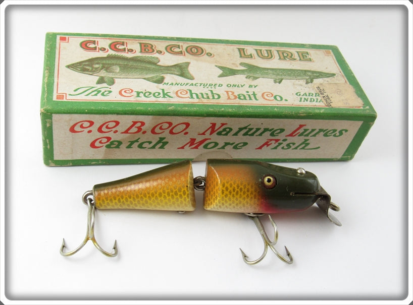 Creek Chub Golden Shiner Jointed Baby Pikie Lure In Box 2704
