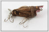 The Weezel Bait Co Brown Weezel Sparrow In Box