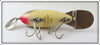 Heddon Shiner Scale Go Deeper Crab In Box