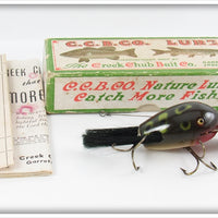 Vintage Creek Chub Frog Spot Dingbat Lure 5119 In Box