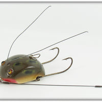 Creek Chub Frog Spot Weed Bug 2819