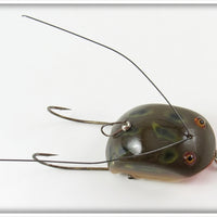 Creek Chub Frog Spot Weed Bug 2819