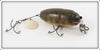 Creek Chub Pikie Scale Midget Beetle Lure 6000 Special 