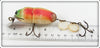 Creek Chub Rainbow Fire Beetle 3831