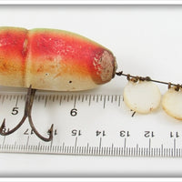 Creek Chub Rainbow Fire Beetle 3831