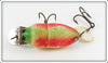 Creek Chub Rainbow Fire Beetle 3831