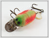 Creek Chub Rainbow Fire Beetle 3831