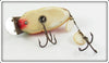 Creek Chub Rainbow Fire Beetle 3831