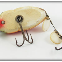 Creek Chub Rainbow Fire Beetle 3831