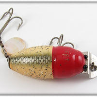 Creek Chub Western Auto Red Head Shiner Midget Beetle 6000 Special