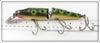 Creek Chub Frog Spot Jointed Husky Pikie 3019