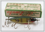 Vintage Creek Chub Perch Injured Minnow Lure In Box 1501 