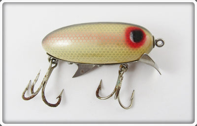 Clark's Early Shiner Scale Dent Eye Water Scout