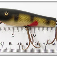 Creek Chub Perch Skipper