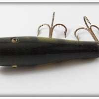 Creek Chub Perch Skipper