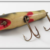 Creek Chub Perch Skipper