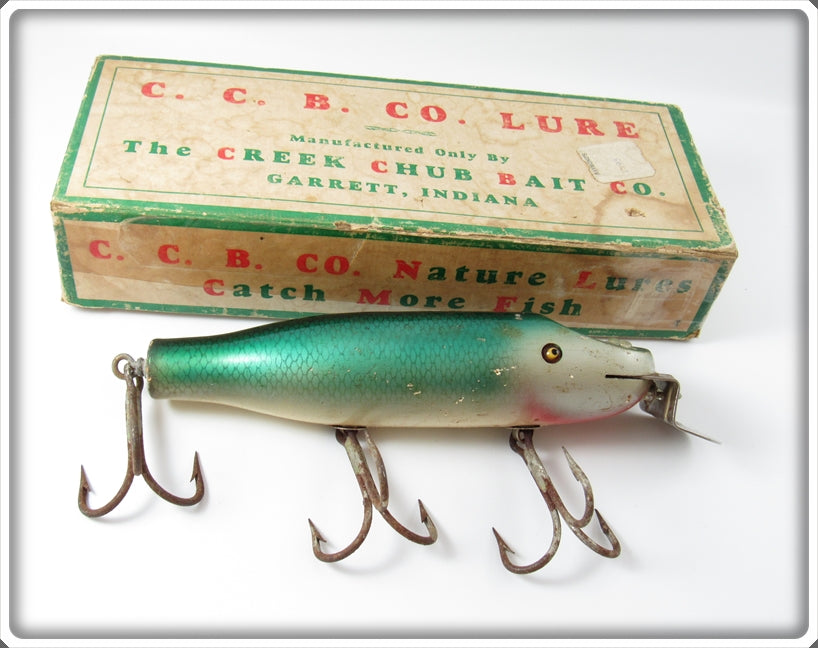Vintage Creek Chub Mullet Striper Pikie Lure In Box 6907