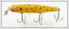 Creek Chub Yellow Spotted Glass Eye Pikie 714 Special