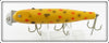 Creek Chub Yellow Spotted Glass Eye Pikie 714 Special