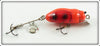 Gary Bowles Mini Creek Chub Orange Beetle Type Lure