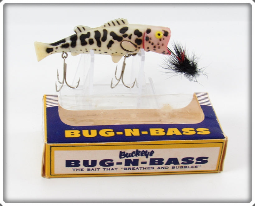 Vintage Buckeye Bait Corp White Coachdog Bug N Bass Lure In Box