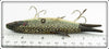 Florida Shinner Bait Co The Florida Shinner In Box