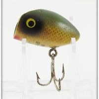 Millsite Gold Scale Spin E Bee