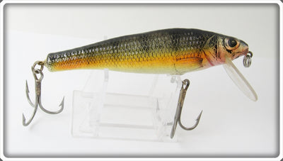 Bagley Large Size Small Fry Perch