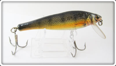 Bagley Large Size Small Fry Perch