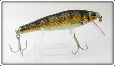 Bagley Large Size Small Fry Perch