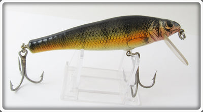 Bagley Large Size Small Fry Perch