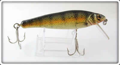 Bagley Large Size Small Fry Perch