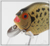 Heddon Crappie 740 Punkinseed Floater