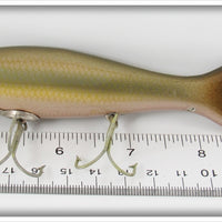 Paw Paw Shiner Scale Large Shiner Caster