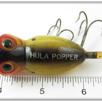 Arbogast Clear Gold Scale Hula Popper